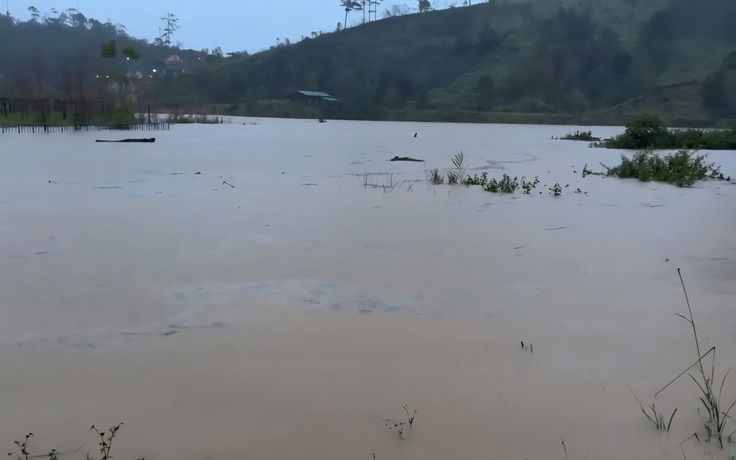 Chủ trang trại cá tầm bị nước lũ cuốn mất tích