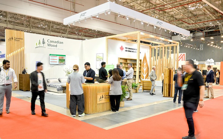 Canadian Wood Việt Nam giới thiệu giải pháp gỗ mềm bền vững tại triển lãm Vietnamwood 2025
