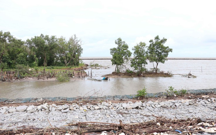 Cà Mau: Chuyển đổi hơn 21 ha rừng để xây tuyến đê biển Tây