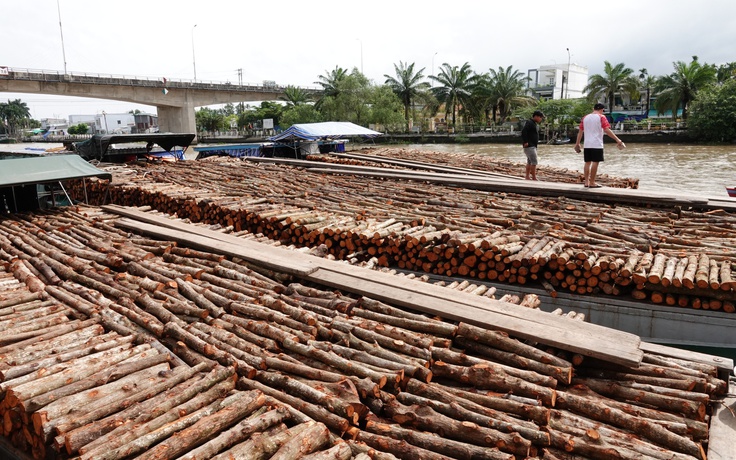 Độc đáo chợ nổi trên sông Cái Côn ở miền Tây: Không bán trái cây