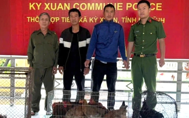 Ăn nhậu xong rủ nhau đi bắt trộm 24 con gà