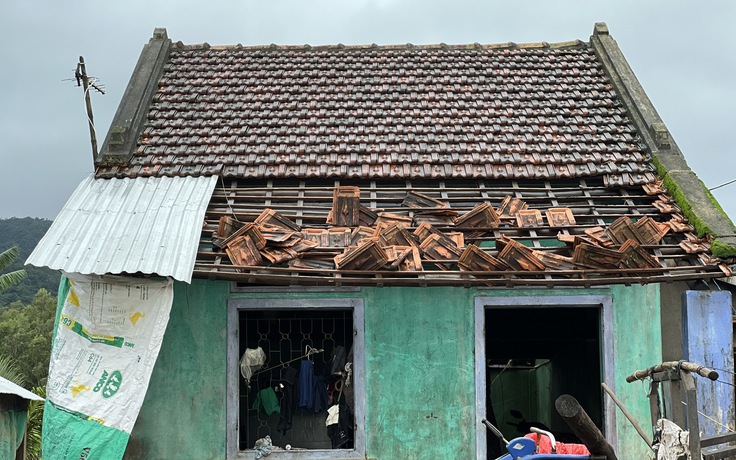 Nhà sập, trâu bò treo... trên cây: Người dân Tây Hòa gánh nỗi lo chồng chất