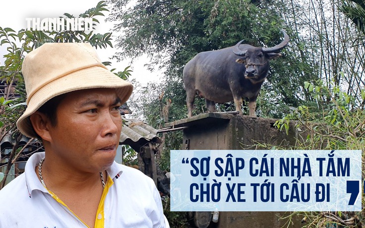 Hy hữu: Con trâu chênh vênh trên nóc nhà tắm, sống sót qua lũ dữ thế nào?