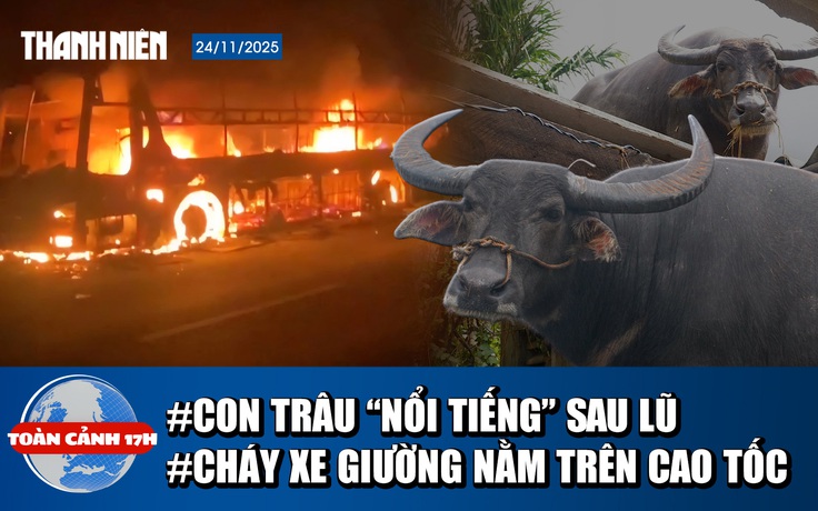 Toàn cảnh 17h: Trâu lạc trên nóc nhà đưa xuống ra sao; Lũ miền Trung hiếm gặp trong 50 năm qua, vì sao?