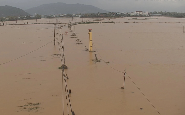 Mưa lớn trong đêm, nhiều khu vực phía đông tỉnh Gia Lai ngập trở lại