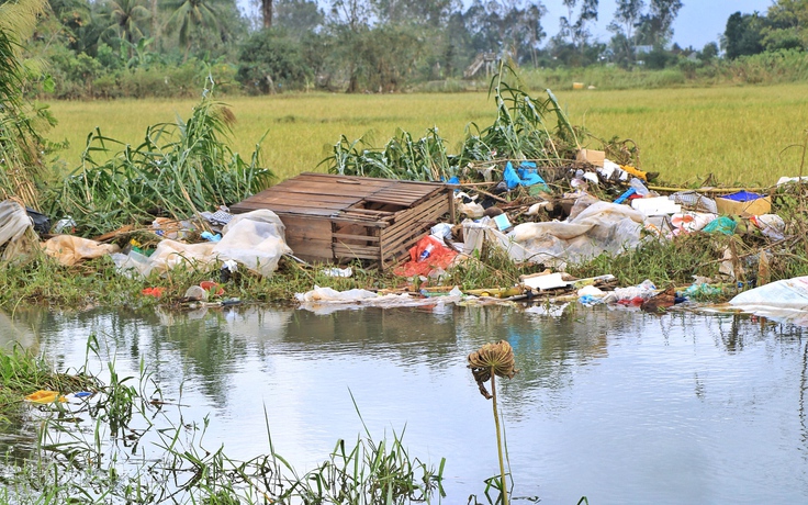 Cả cánh đồng bốc mùi sau lũ dữ: Người Hòa Thịnh lo nguồn nước ô nhiễm