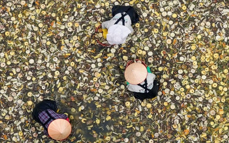 FUWA Biotech - Dấu ấn công nghệ sinh học trong ngành tẩy rửa xanh