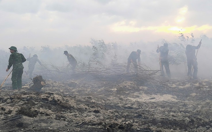 Quảng Trị: Cháy rừng phòng hộ ven biển do người dân đốt thực bì