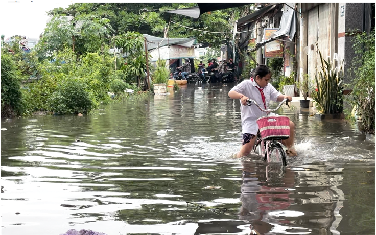 Bão số 15, Hồ Dầu Tiếng xả lũ: TP.HCM có nguy cơ ngập sâu?