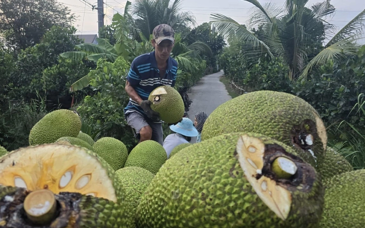 Mít tươi Việt Nam mở cửa thị trường Trung Quốc