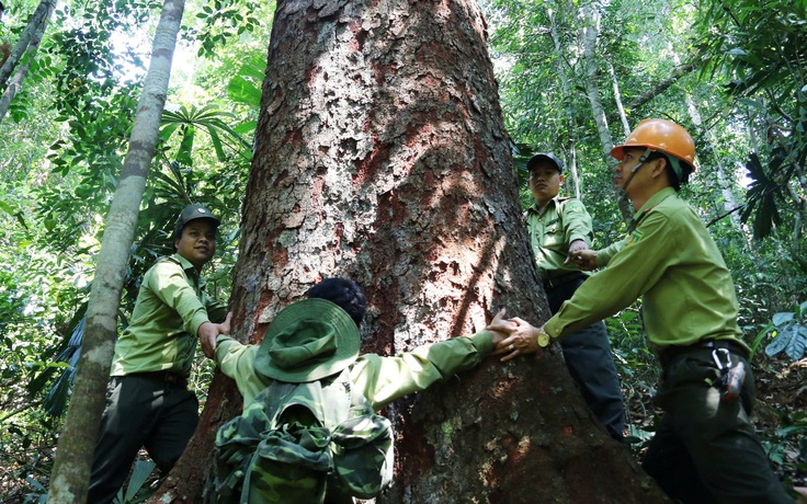 Nông nghiệp Đà Nẵng chuyển mình theo hướng hiện đại