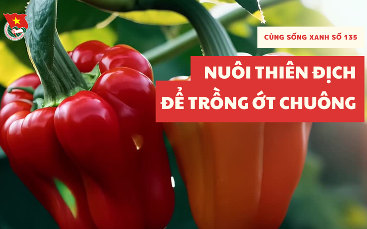 Cùng sống xanh số 135: Nuôi thiên địch, nông dân Lâm Đồng sống khỏe nhờ trồng ớt chuông