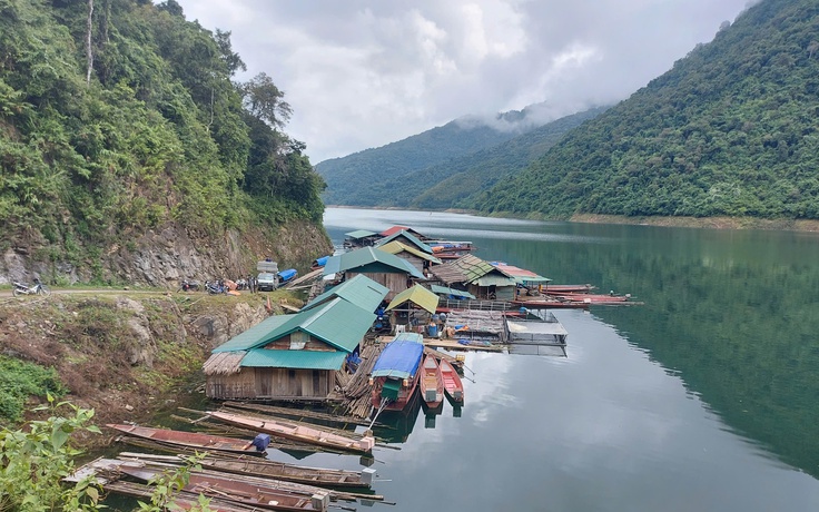 Cá chết vì mắc cạn trên hồ thủy điện