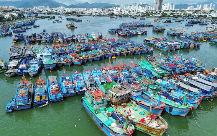 Tin tức đặc biệt trên báo in Thanh Niên 6.11.2025