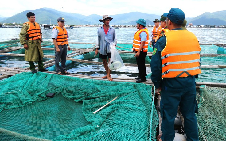 Ngư dân Khánh Hòa chạy đua phòng chống bão số 13 Kalmaegi