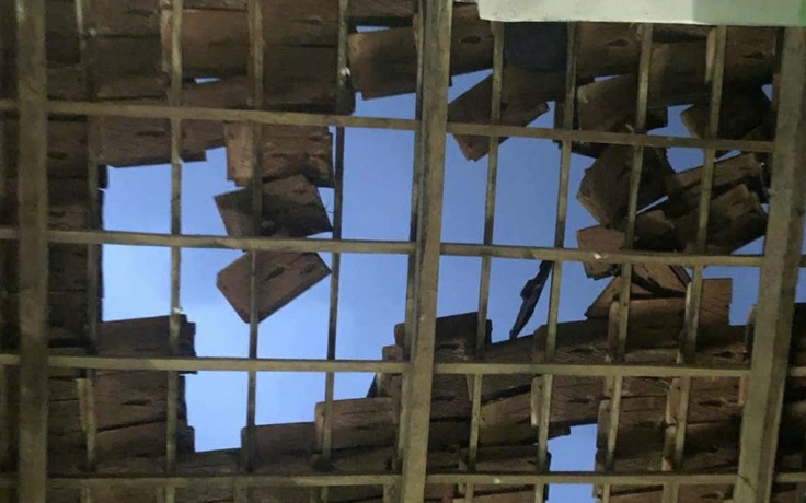 Quảng Ngãi: Bão Kalmaegi quật ngã nhiều cây xanh, nhà dân bị tốc mái