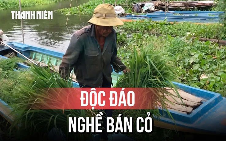 Độc đáo chợ cỏ Ô Lâm, nơi nuôi sống hàng trăm hộ dân vùng Bảy Núi
