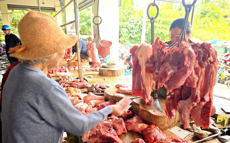 Giá heo hơi hôm nay 13.12.2025: Miền Bắc tăng nhanh
