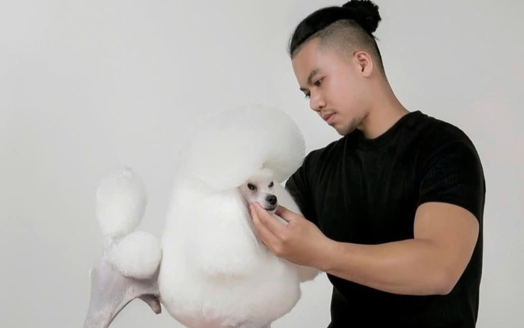Nghề làm đẹp thú cưng: Người nghệ sĩ giữa dàn hợp xướng Bichon