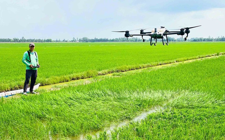 Tiềm năng kinh tế tầm thấp của Việt Nam