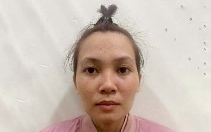 Giả Việt kiều tán tỉnh 2 người phụ nữ, lừa gần 400 triệu đồng