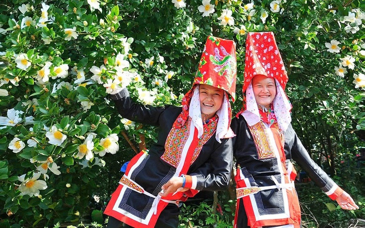 Về Lục Hồn ngắm hoa Sở nở trắng rừng