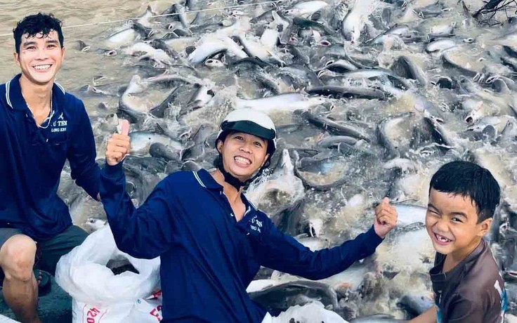 Nghĩa hiệp đời thường: Những chàng trai đưa cá “khủng” trở về thiên nhiên