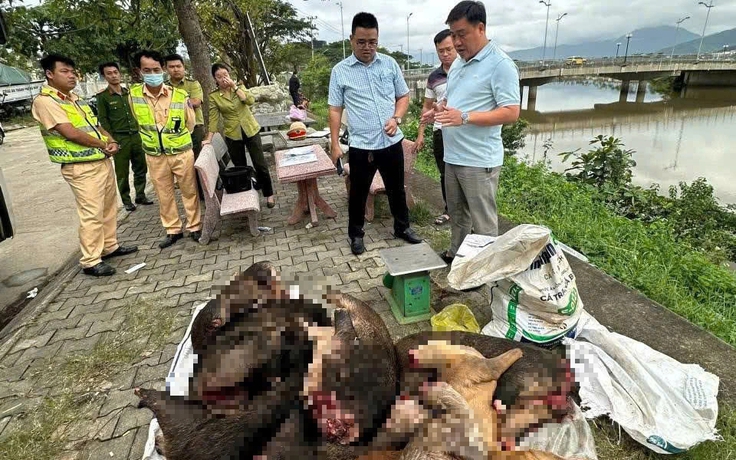 Xe khách chở lượng lớn thịt nghi động vật hoang dã qua hầm Hải Vân