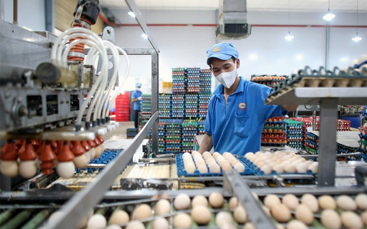 Giá hàng thiết yếu nhấp nhổm tăng