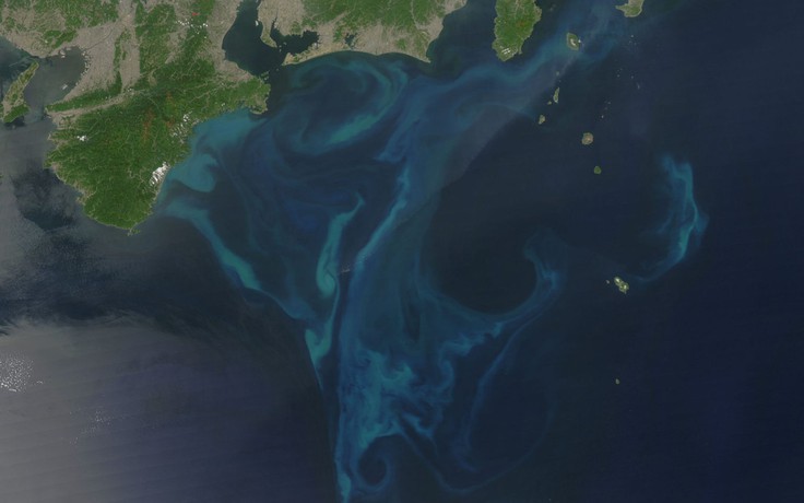 Hiện tượng tự nhiên bất thường ngoài khơi Nhật Bản