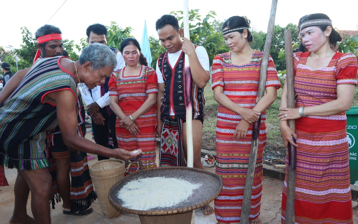 Lễ hội mừng lúa mới có gì đặc biệt mà cồng chiêng, giã gạo rộn ràng suốt ngày?