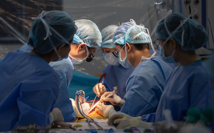 TP.HCM: Sinh viên hiến gan cứu giảng viên đại học