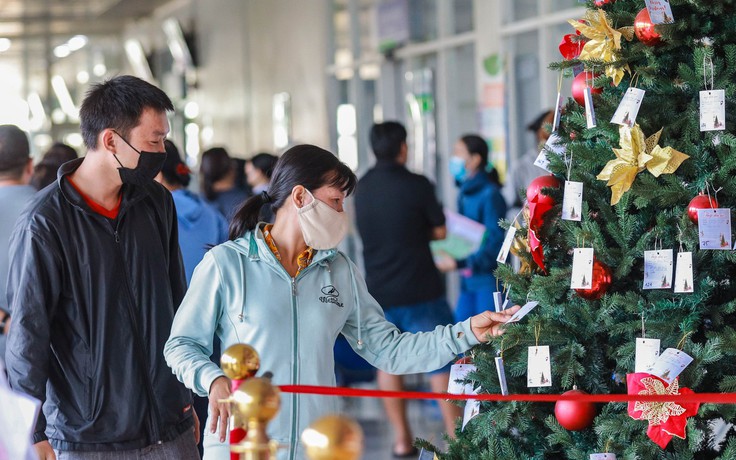 Giáng sinh 2025: Trên cây thông Noel này, mỗi tấm thiệp là một mong ước nhỏ
