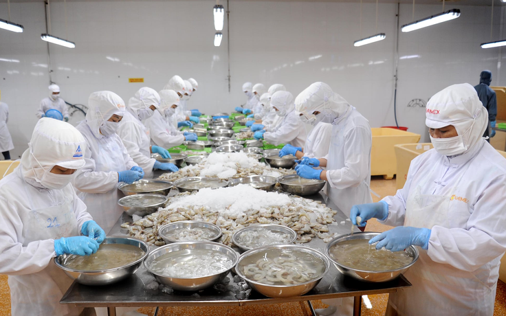 Cà Mau: Thưởng Tết Nguyên đán 2026 cao nhất 200 triệu đồng/người