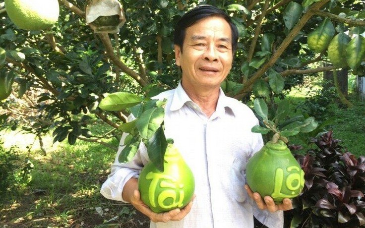 Trái cây tạo hình Tết Bính Ngọ: Nhà vườn miền Tây chăm chút từng sản phẩm