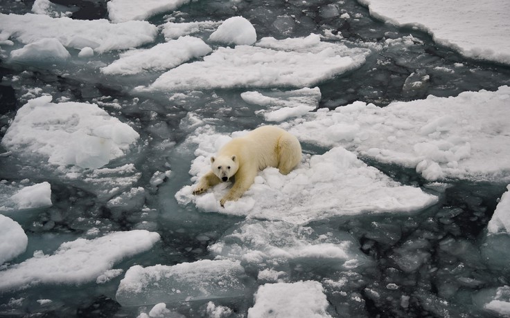 Năm 2026: 'Bình thường mới' của khí hậu toàn cầu