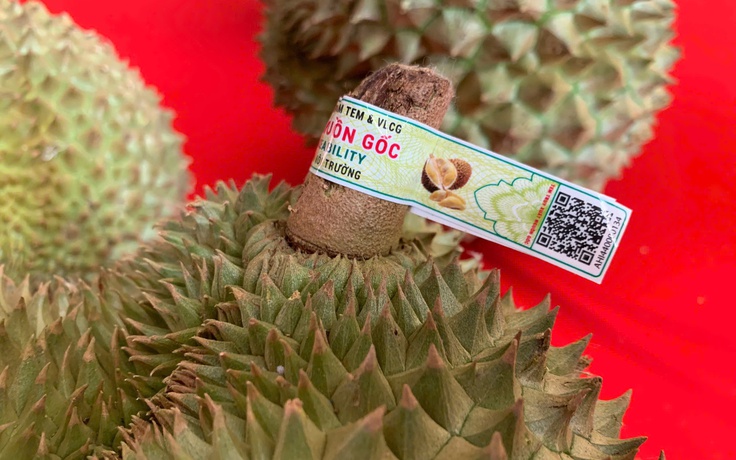 Thí điểm 'căn cước số' truy xuất nguồn gốc trên trái sầu riêng