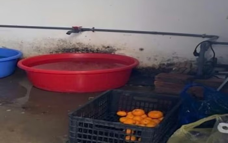 Hà Nội: Phát hiện loạt vi phạm trong cung cấp suất ăn bán trú cho học sinh