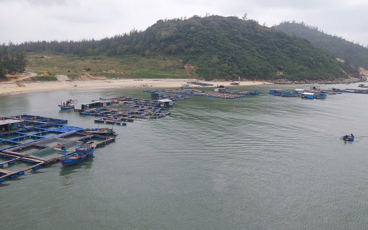 Người dân muốn tiếp tục nuôi trồng thủy sản 'có kiểm soát' trên đầm Đề Gi
