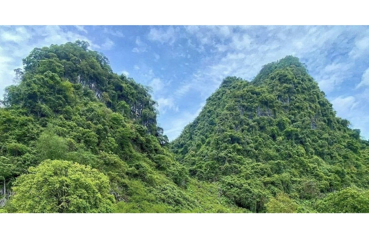 Hoàng Đình Kinh - thủ lĩnh Tày kiên cường