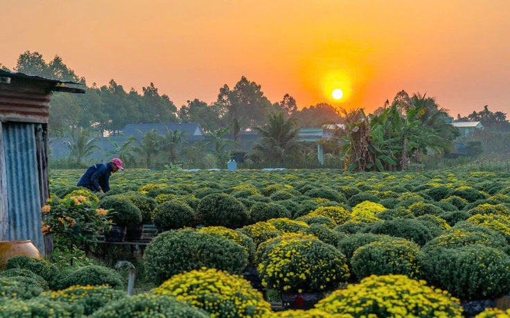 Nghề trồng hoa kiểng ở Sa Đéc là di sản văn hóa phi vật thể quốc gia