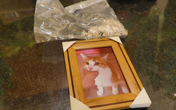 Hỏa táng thú cưng: Ngày đầu vào Bình Hưng Hòa 'hơi sợ sợ'