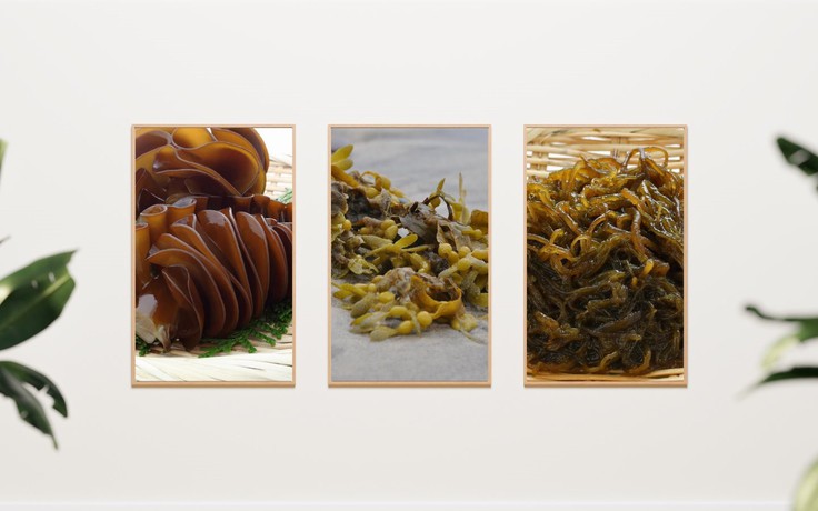 Công dụng vượt trội khi Fucoida được kết hợp đúng cách