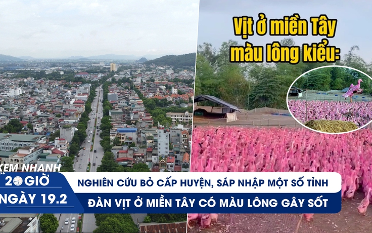 Xem nhanh 20h ngày 19.2: Nghiên cứu bỏ cấp huyện, sáp nhập một số tỉnh | Thực hư đàn vịt màu hồng gây sốt