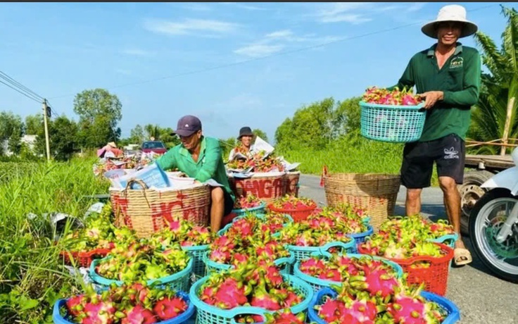 Nông sản Việt liên tục bị EU ‘tuýt còi’, cao hơn hẳn hàng Thái Lan, Hàn Quốc