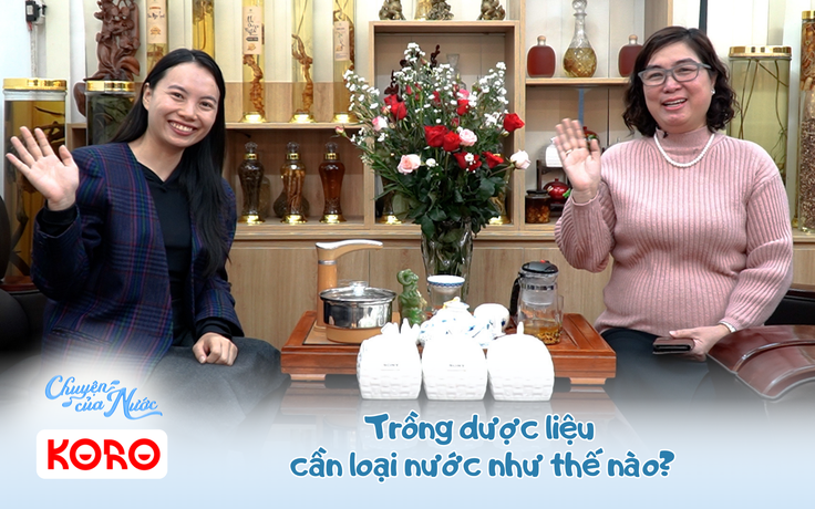 Chuyện của nước số 44: Trồng dược liệu cần loại nước như thế nào?