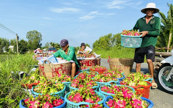 EU siết quy định nhập khẩu nông sản tươi