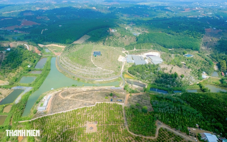 Hộ kinh doanh 'kêu trời' vì bất ngờ bị đóng mã số thuế