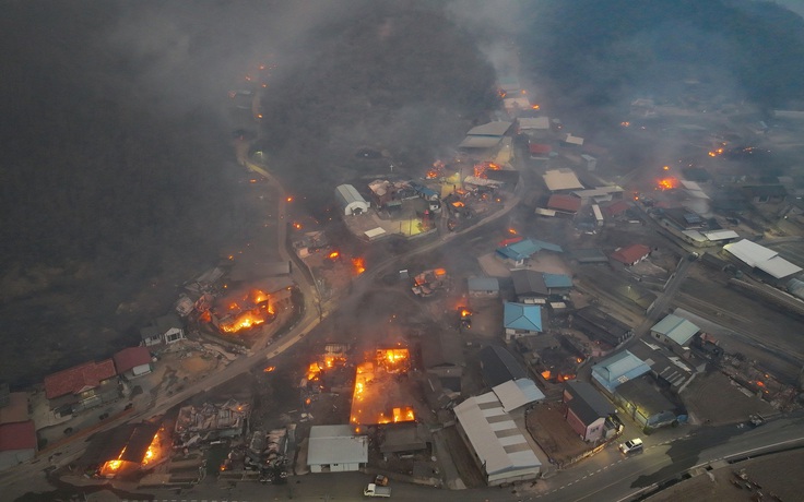 Cháy rừng Hàn Quốc: Rơi trực thăng cứu hộ, số người chết tăng