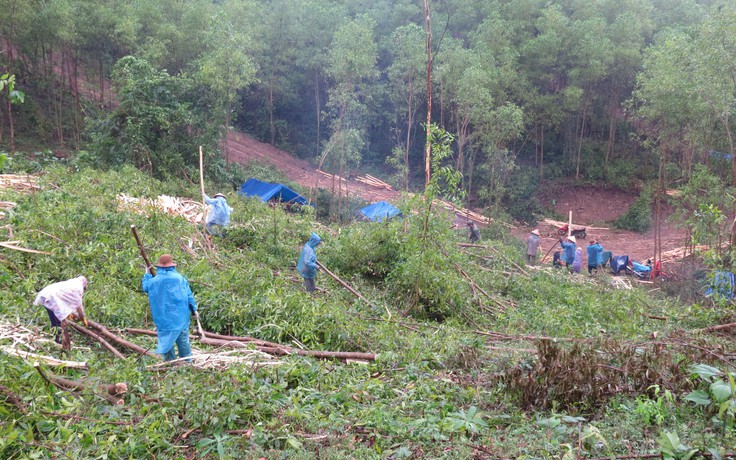 Lên rừng, xuống biển mưu sinh - Kỳ 2: Những đêm trăn trở giữa rừng sâu